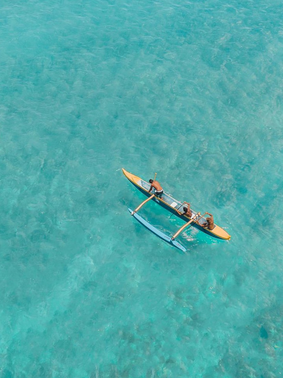 Canoe Strokes Overview